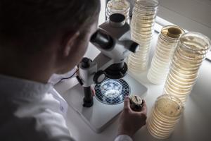 Bild 2110_hygieneinstitut-4064.jpg